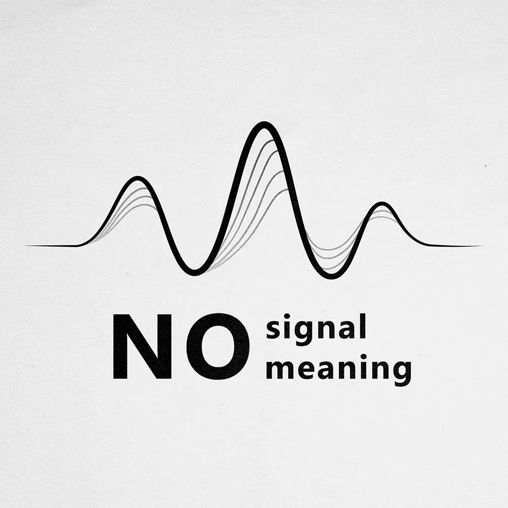 Bluza Kangurka No Signal No Meaning - Image 2